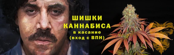 крисы Великий Новгород