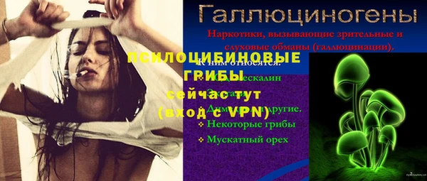 ECSTASY Заводоуковск