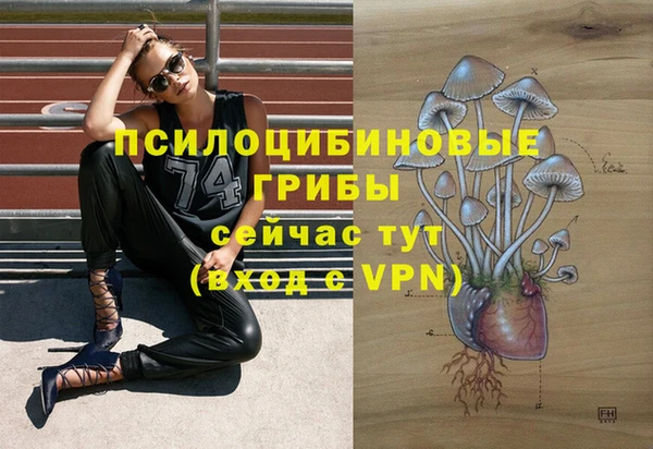 apvp Заволжск
